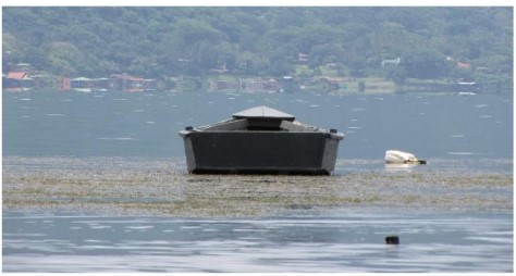 Lee más sobre el artículo Declaración de estado de emergencia ambiental en el Lago de Coatepeque: Un desastre anunciado