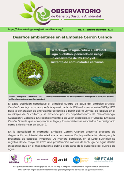 Lee más sobre el artículo Boletín N – 4 , Octubre – Diciembre – 2025