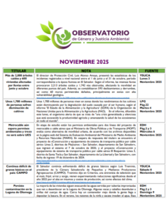 Lee más sobre el artículo Monitoreo Genero y Justicia Ambiental Noviembre 2025