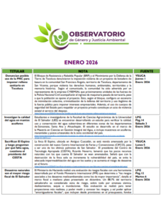 Lee más sobre el artículo Monitoreo Genero y Justicia Ambiental Enero 2026