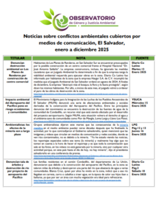 Lee más sobre el artículo Monitoreos conflictos ambientales 2025