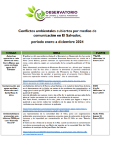 Lee más sobre el artículo Conflictos ambientales cubiertos por medios de comunicación en El Salvador, periodo enero a diciembre 2024