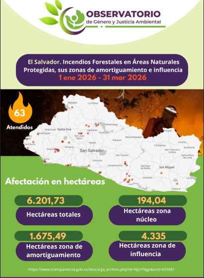 Lee más sobre el artículo El Salvador incendios forestales en áreas naturales protegidas