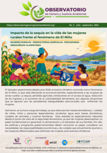 Lee más sobre el artículo Boletín N – 3 , Julio– Septiembre – 2026